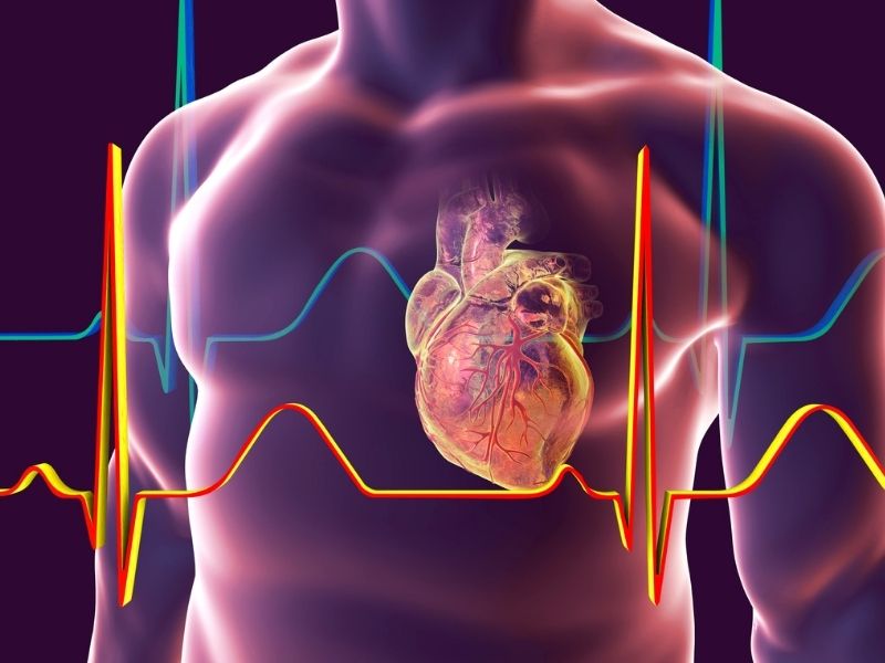 Orthomol Cardio - Dinh dưỡng cho hệ tim mạch khỏe mạnh
